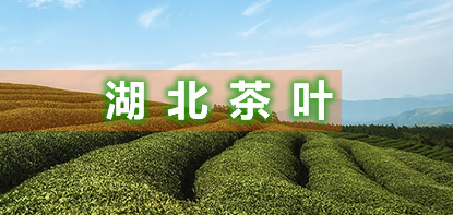 全国茶叶进出口协调工作会议暨湖北茶叶进出口工作座谈会在武汉召开