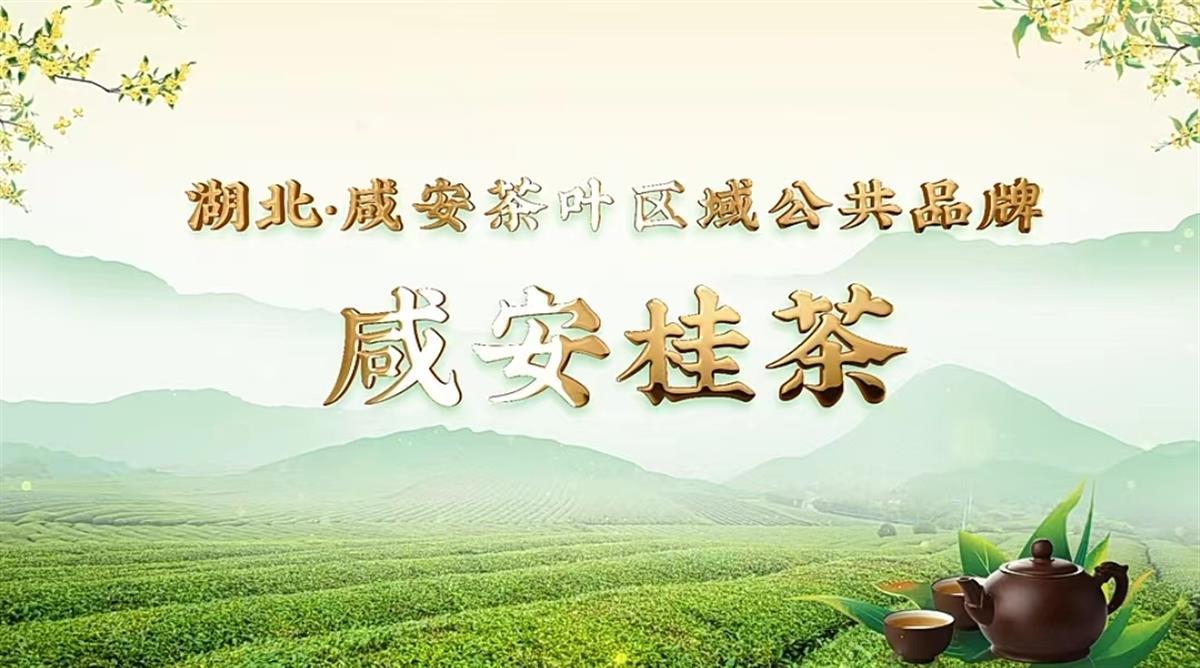 区域公共品牌“咸安桂茶”诞生！咸安茶叶有了“集体商标”