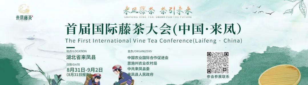首届国际藤茶大会（中国•来凤）在湖北来凤举办